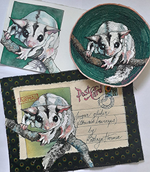 Sugar Glider: Sketch, Bow, Postcard
